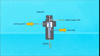 1593423835279558.gif 微信圖片_20200629174344.gif